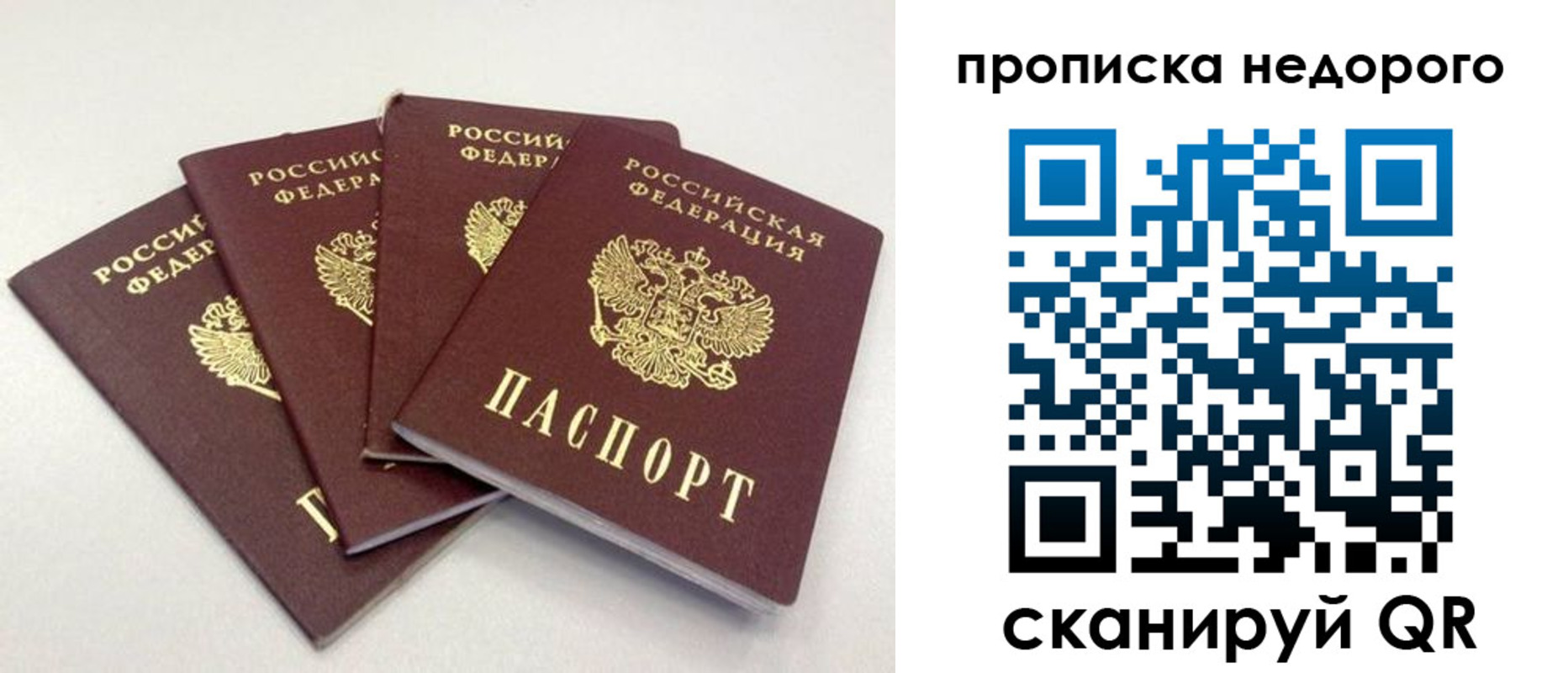 прописка законно в Дубовке
